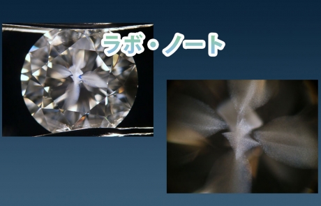 宝石鑑定機関の専門書
